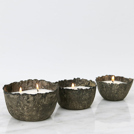 Cuenco Palmaria - Bosco