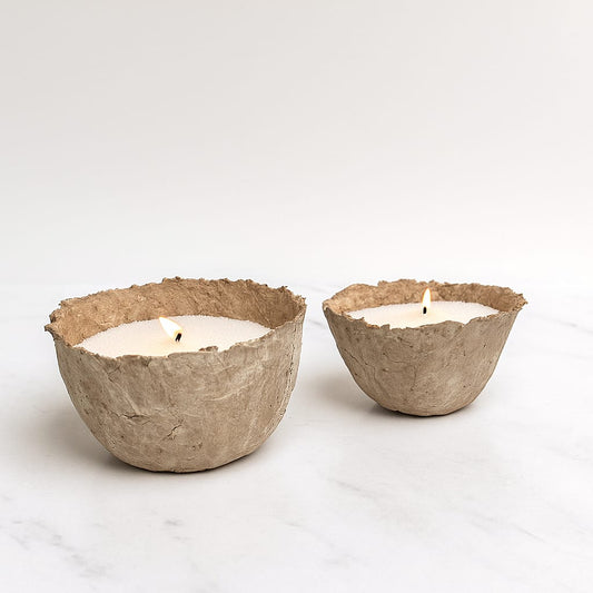 Cuenco Palmaria - Terra