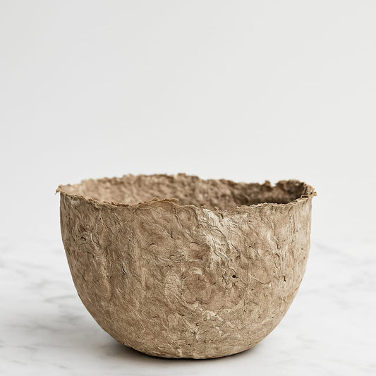 Cuenco Palmaria - Terra