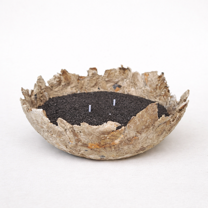 Cuenco Palmaria -  Geo