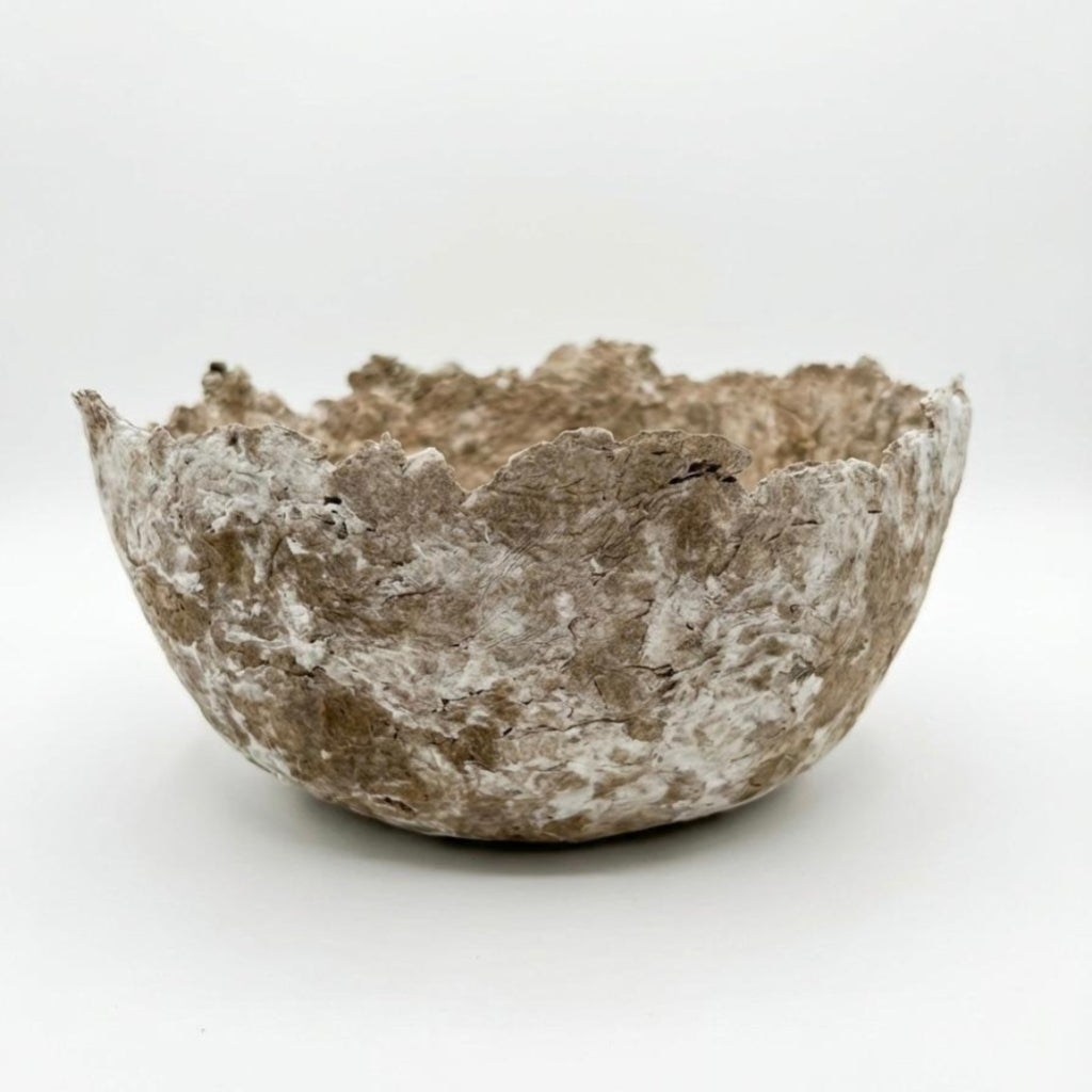 Cuenco Palmaria - Bruma