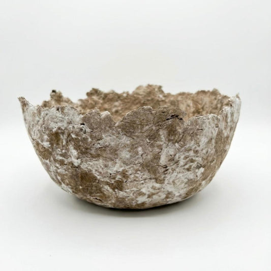 Cuenco Palmaria - Bruma