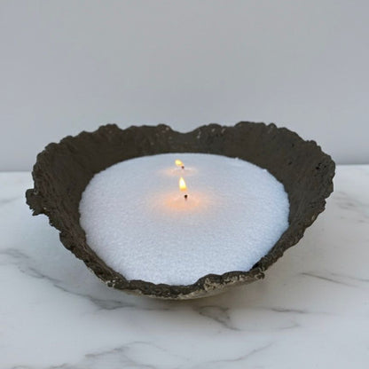 Cuenco Palmaria - Venera