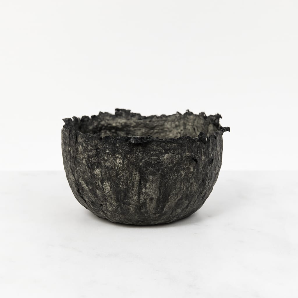 Cuenco Palmaria - Bosco