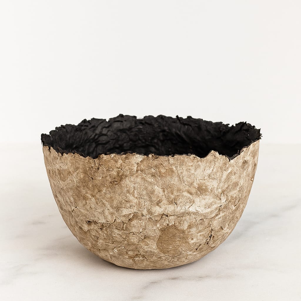 Cuenco Palmaria- Cneo