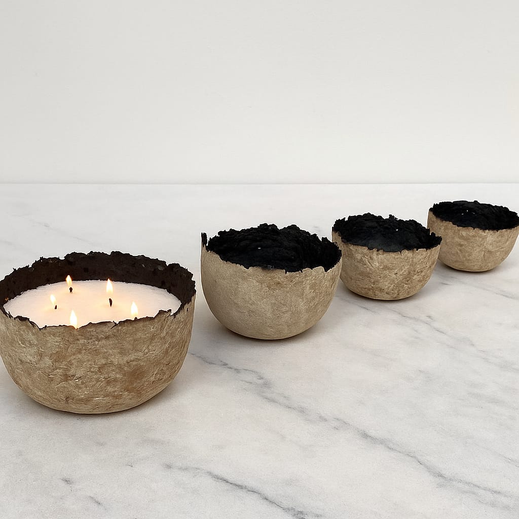 Cuenco Palmaria- Cneo