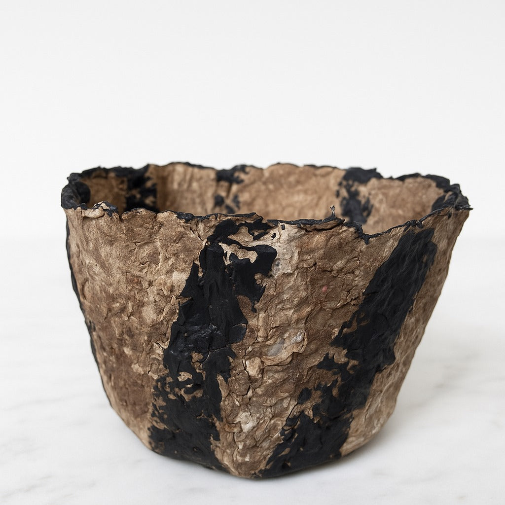 Cuenco Palmaria -  Aura