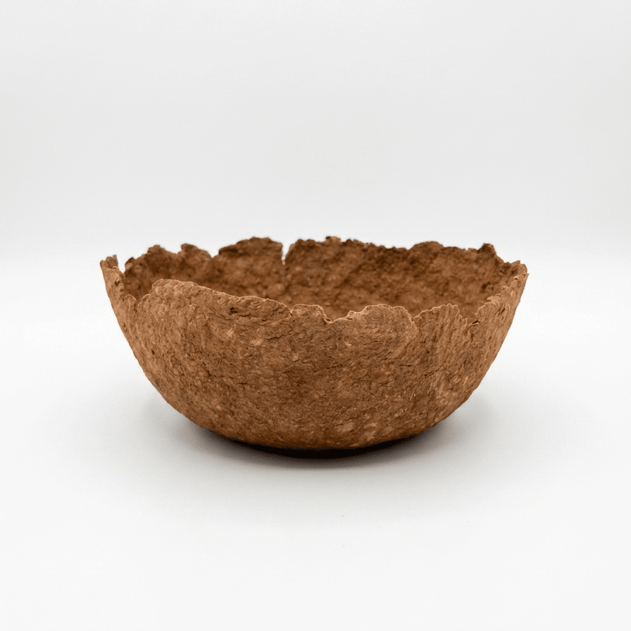 Cuenco Decorativo - Duna - Palmaria